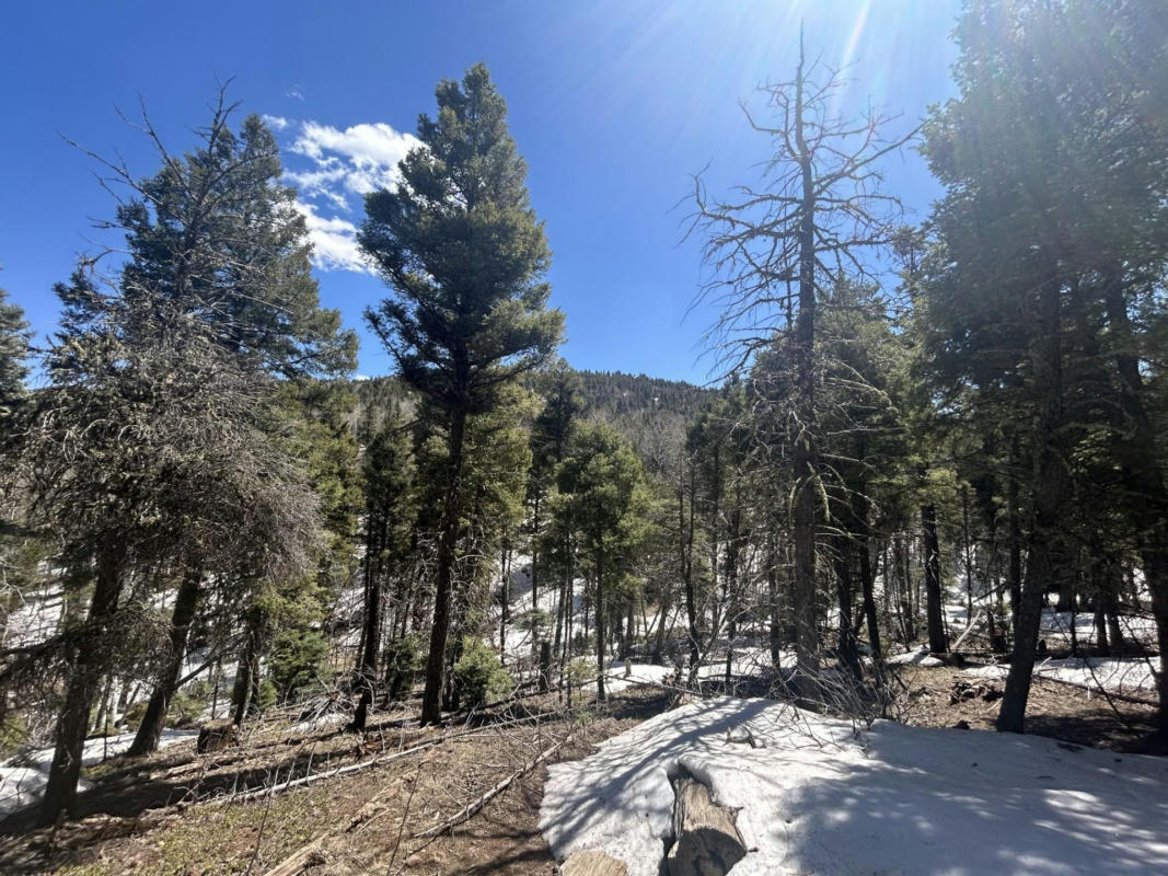 LOT 369 VAIL LOOP, ANGEL FIRE, NM 87710, photo 1 of 10