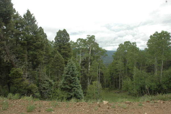 104 ZIA RD, ANGEL FIRE, NM 87710 - Image 1