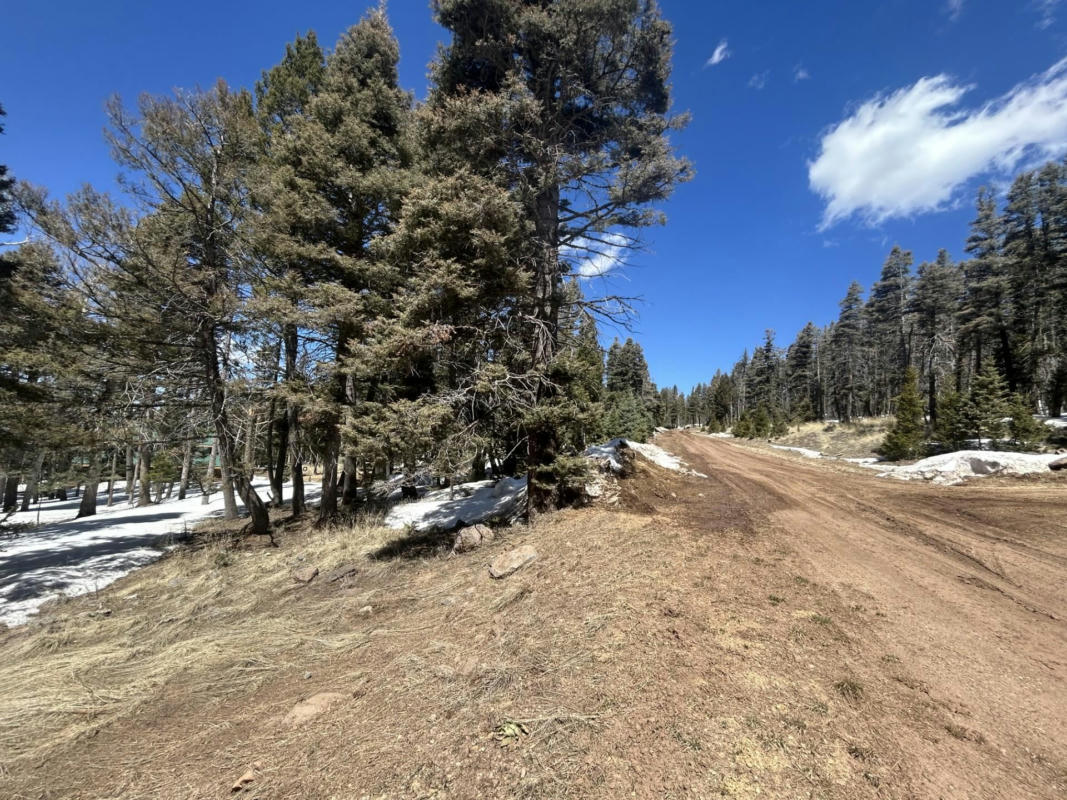 LOT 1320 PLEASANT VALLEY OVERLOOK, ANGEL FIRE, NM 87710, photo 1 of 9