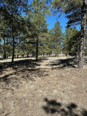 66 MORA RANCH RD, ANGEL FIRE, NM 87710, photo 3 of 7