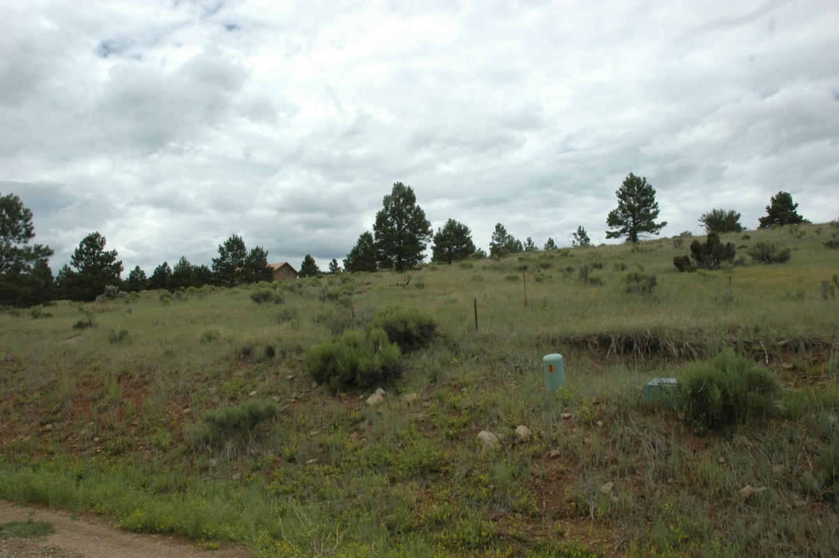 LOT 1217 COLONIAL TRAIL, ANGEL FIRE, NM 87710, photo 1