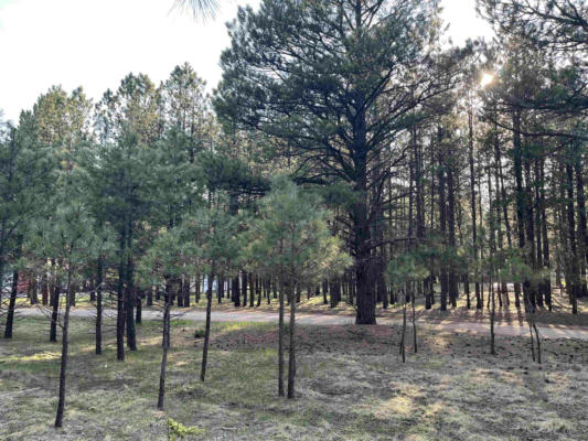 LOT 8 PINE VALLEY DR, ANGEL FIRE, NM 87710, photo 5 of 6