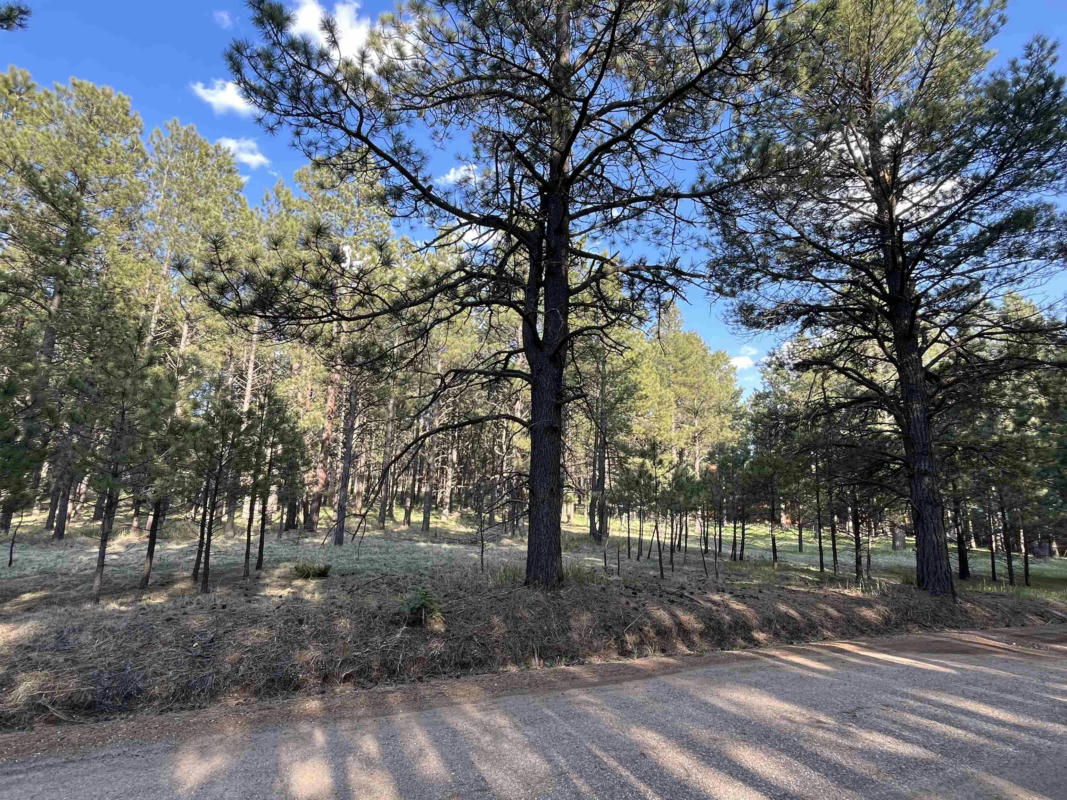 LOT 8 PINE VALLEY DR, ANGEL FIRE, NM 87710, photo 1 of 6