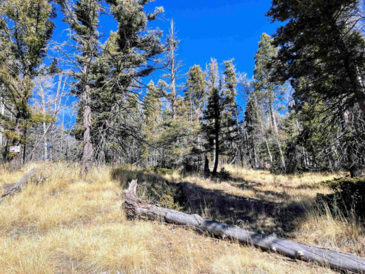 LOT 1337 SKYVIEW WAY, ANGEL FIRE, NM 87710, photo 3 of 3