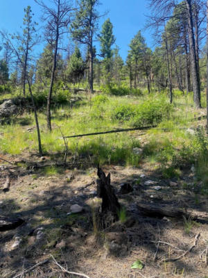 LOT 19 CHRISTMAS TREE CANYON, SIERRA BONITA, NM 87722, photo 3 of 7