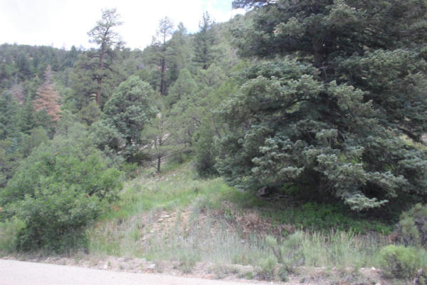 5 ACRES CABRESTO CANYON, QUESTA, NM 87556, photo 3 of 4