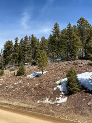 LOT 1133 EL CAMINO REAL, ANGEL FIRE, NM 87710, photo 5 of 5
