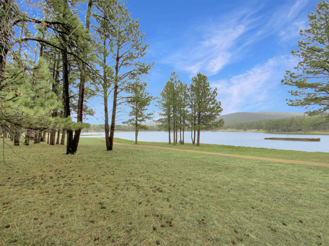 3 LAKEVIEW PARK DR, ANGEL FIRE, NM 87710, photo 1 of 14
