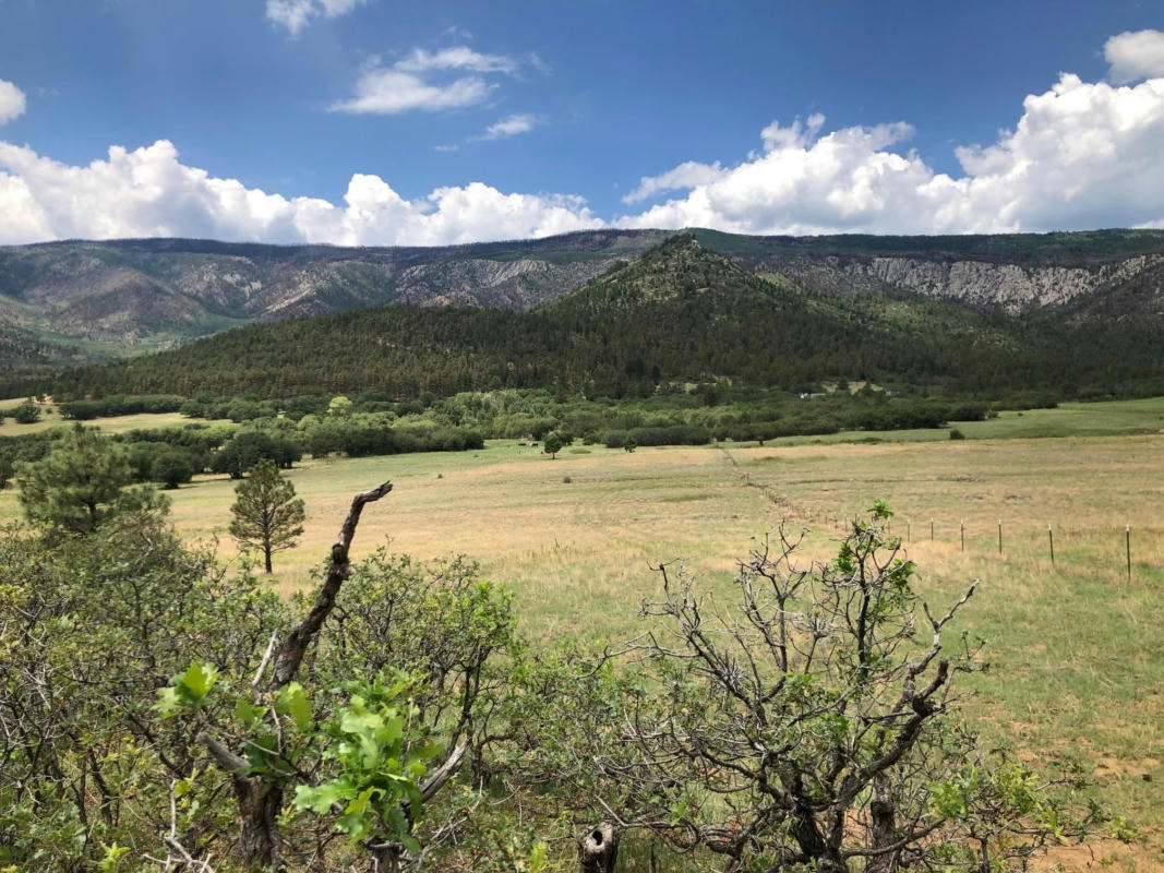 CR A034 WILLIAMS CANYON 62 ACRES, GUADALUPITA, NM 87722, photo 1 of 25