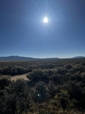 UNIT 1 LOT 17 COSTILLA MEADOWS, AMALIA, NM 87512 - Image 1