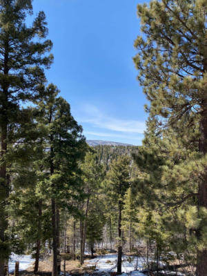 LOT 1133 EL CAMINO REAL, ANGEL FIRE, NM 87710, photo 3 of 5