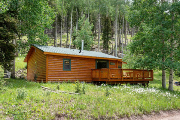 88 UPPER RED RIVER VALLEY RD, RED RIVER, NM 87558 - Image 1