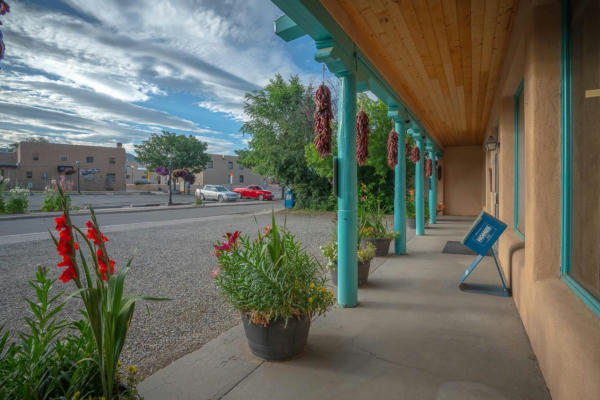 114 DONA LUZ, TAOS, NM 87571, photo 4 of 30