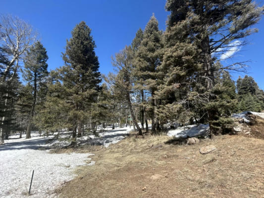 LOT 1320 PLEASANT VALLEY OVERLOOK, ANGEL FIRE, NM 87710, photo 2 of 9