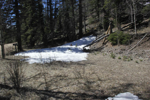 LOT 23 VALLEY OF THE PINES, RED RIVER, NM 87558, photo 2 of 9