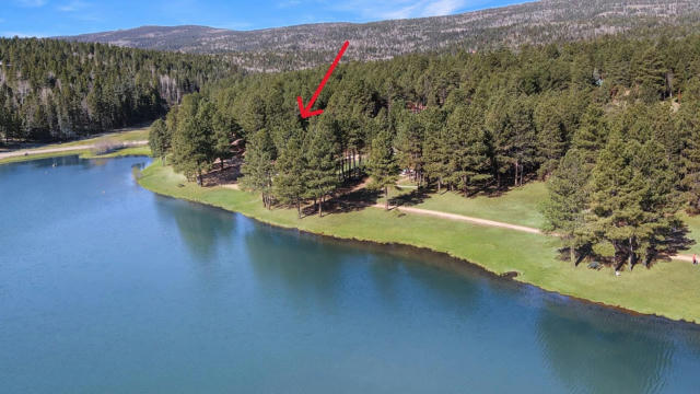 3 LAKEVIEW PARK DR, ANGEL FIRE, NM 87710, photo 5 of 14
