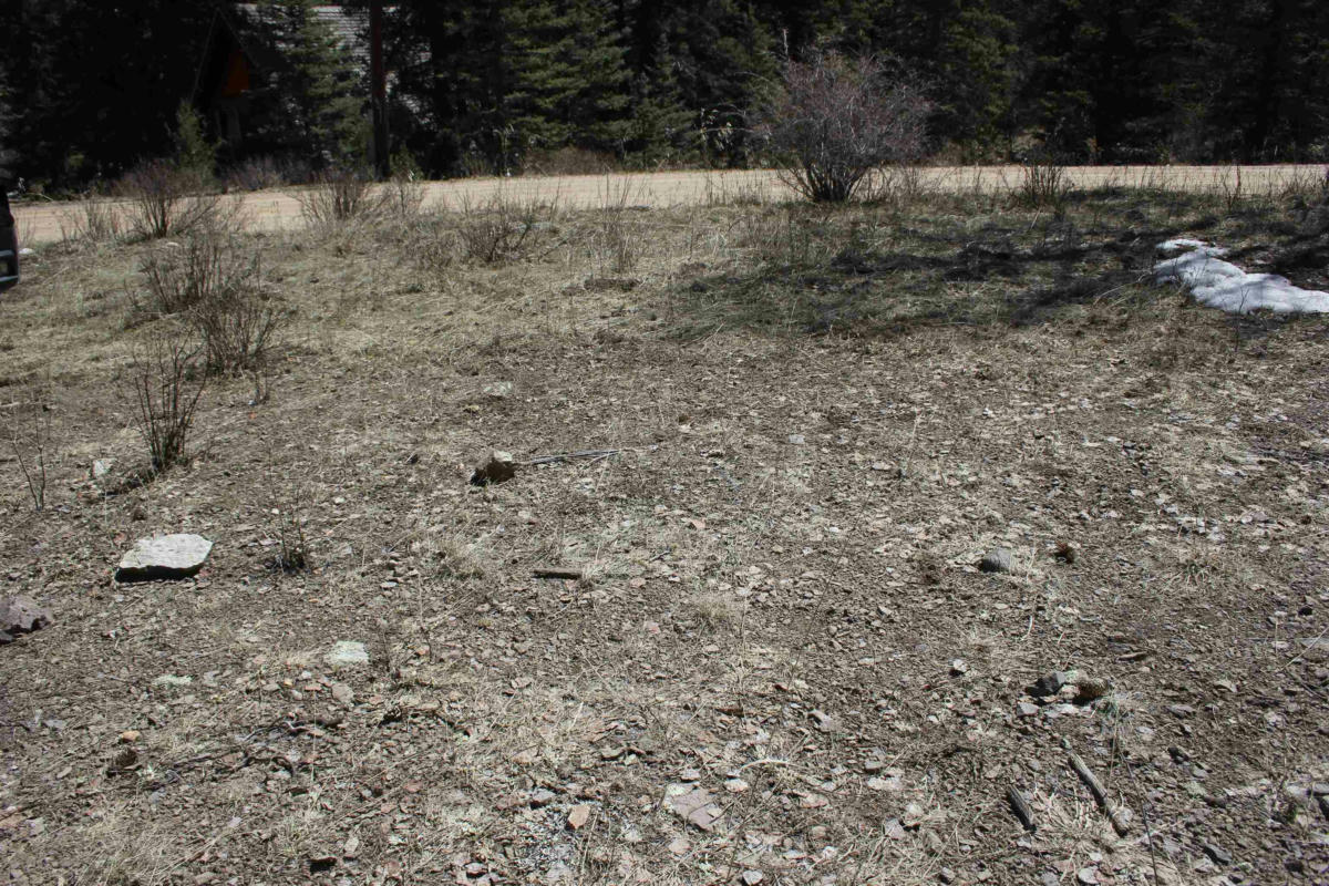 LOT 23 VALLEY OF THE PINES, RED RIVER, NM 87558, photo 1 of 9