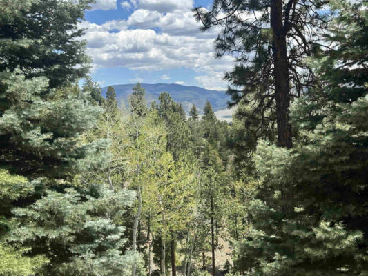 LOT 91AB PAM COLEMAN DRIVE, ANGEL FIRE, NM 87710, photo 3 of 27