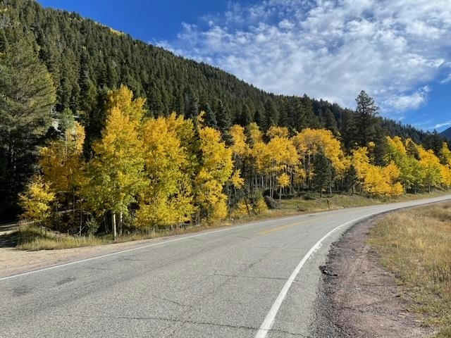 BLOCK 7 LOTS 1 2 3 AND 4 HWY 150, TAOS SKI VALLEY, NM 87525, photo 1 of 30