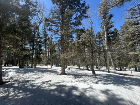 LOT 1320 PLEASANT VALLEY OVERLOOK, ANGEL FIRE, NM 87710, photo 5 of 9