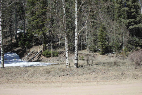 LOT 23 VALLEY OF THE PINES, RED RIVER, NM 87558, photo 4 of 9