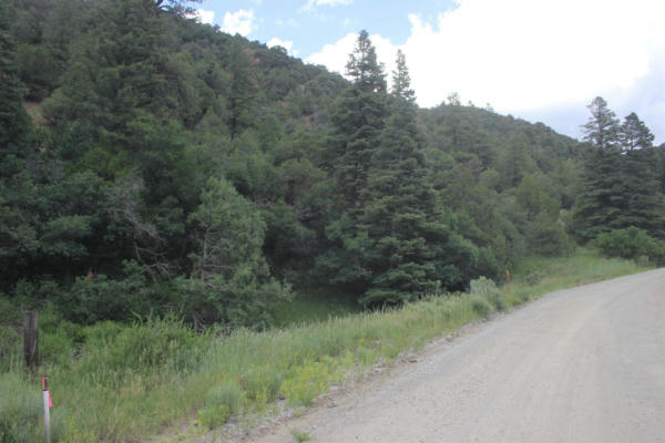 5 ACRES CABRESTO CANYON, QUESTA, NM 87556, photo 4 of 4