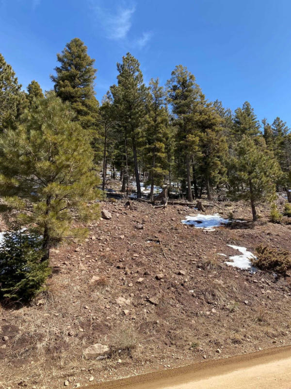 LOT 1133 EL CAMINO REAL, ANGEL FIRE, NM 87710, photo 1 of 5