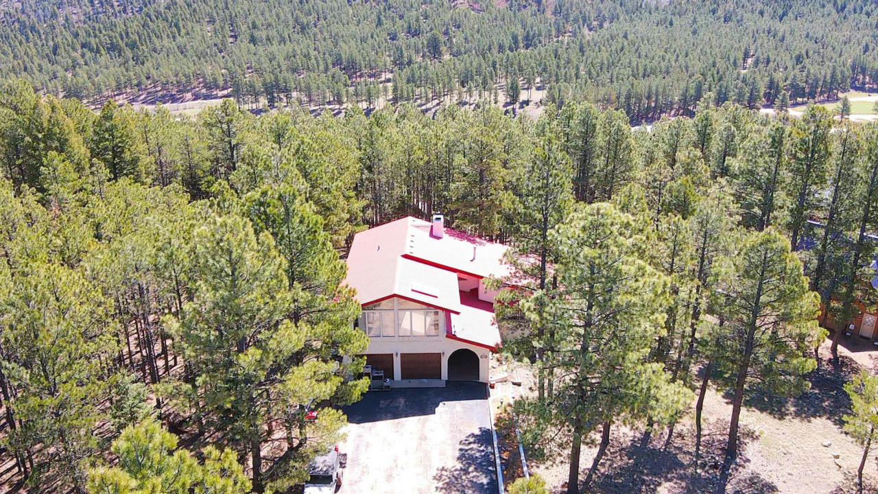 14 MEADOWBROOK TER, ANGEL FIRE, NM 87710, photo 1 of 29