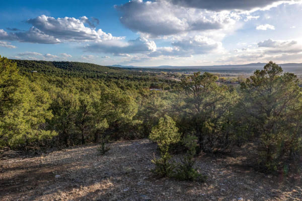 CAMINO MONTE AZUL THREE TERRACES, ARROYO HONDO, NM 87513, photo 2 of 12