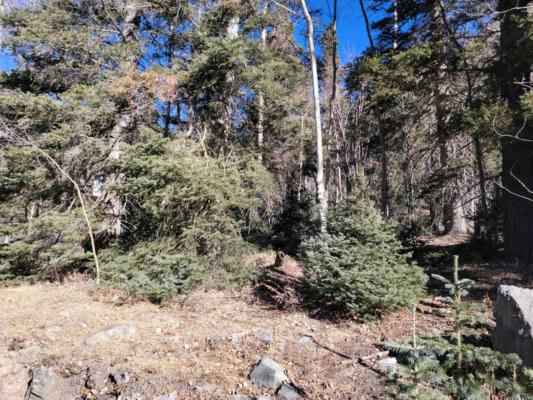 LOT 1A SNOWSHOE ROAD, TAOS SKI VALLEY, NM 87525, photo 2 of 20