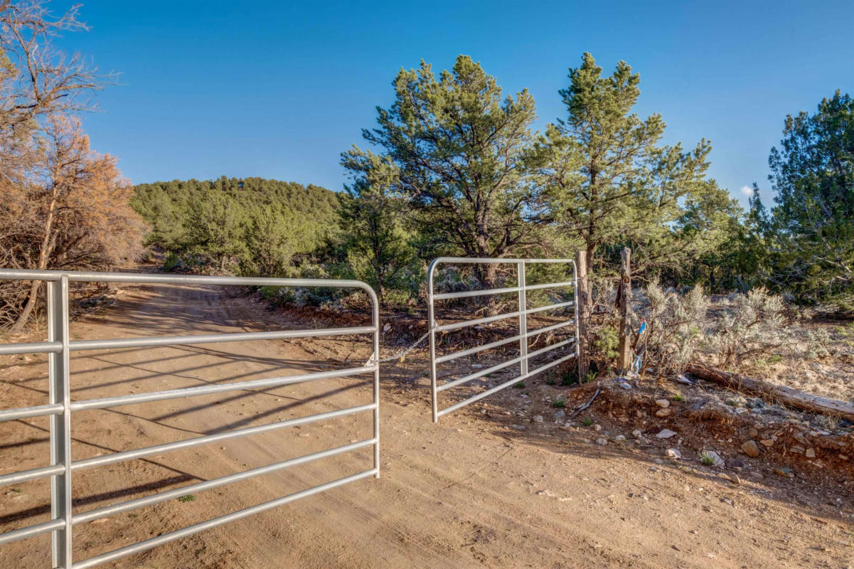 CAMINO MONTE AZUL THREE TERRACES, ARROYO HONDO, NM 87513, photo 1 of 12