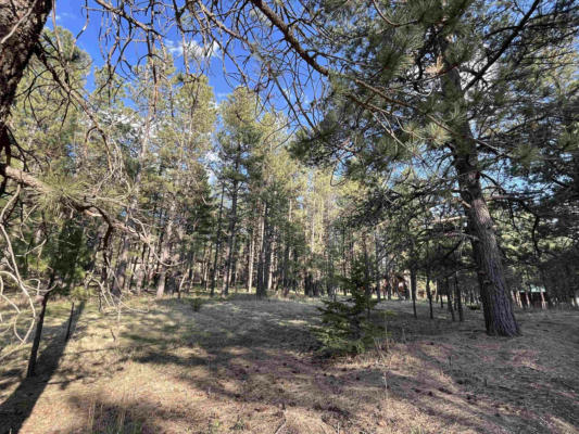 LOT 8 PINE VALLEY DR, ANGEL FIRE, NM 87710, photo 2 of 6