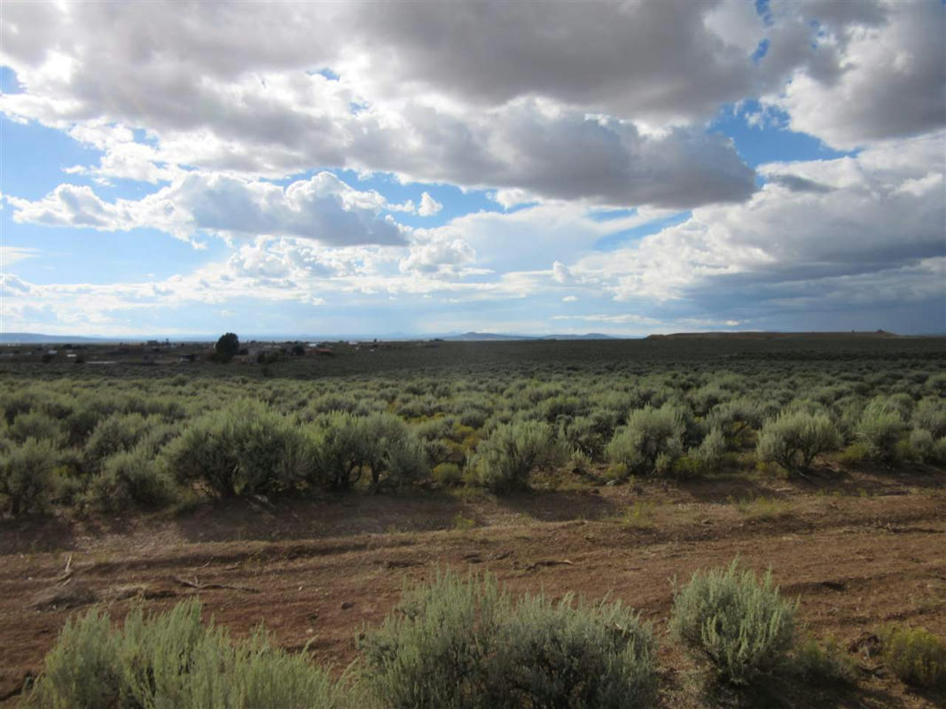 CAMINO COYOTE, EL PRADO, NM 87529, photo 1 of 4