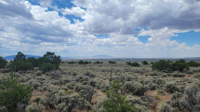 TRACT A C UNNAMED STREET, QUESTA, NM 87530, photo 4 of 16