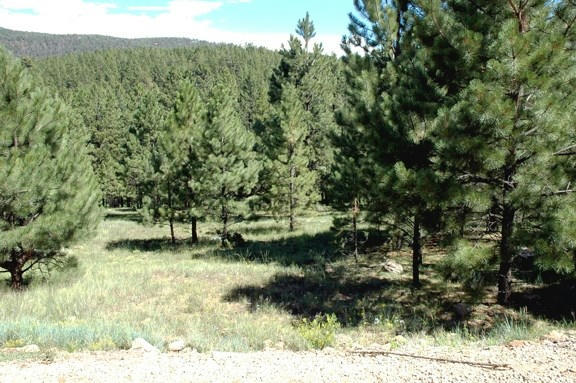 LOT 1032 WOODLANDS DR, ANGEL FIRE, NM 87710, photo 2 of 3