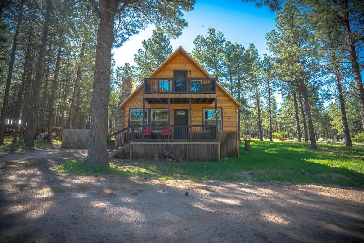 56 HALO PINES TER, ANGEL FIRE, NM 87710, photo 1 of 25