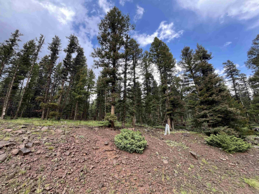 LOT 1498 PANORAMA WAY, ANGEL FIRE, NM 87557, photo 1 of 9