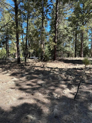 66 MORA RANCH RD, ANGEL FIRE, NM 87710, photo 2 of 7