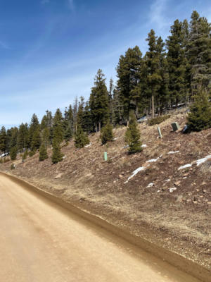 LOT 1133 EL CAMINO REAL, ANGEL FIRE, NM 87710, photo 2 of 5