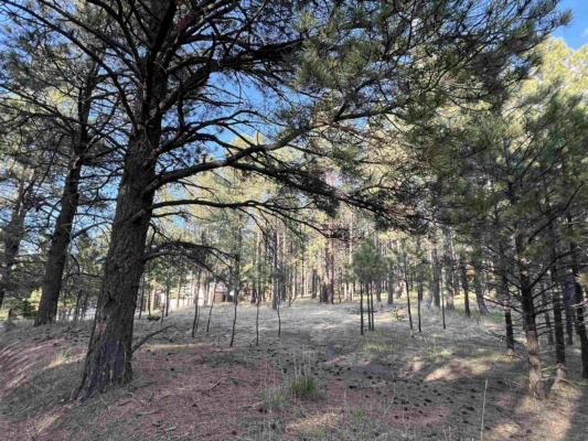 LOT 8 PINE VALLEY DR, ANGEL FIRE, NM 87710, photo 4 of 6