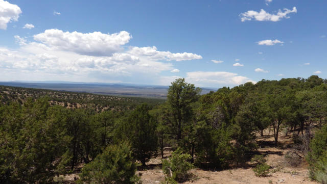 000 BRAZELTON ROAD, RANCHOS DE TAOS, NM 87557 - Image 1