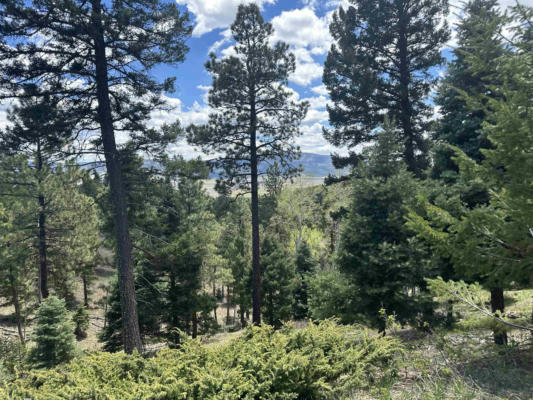 LOT 91AB PAM COLEMAN DRIVE, ANGEL FIRE, NM 87710, photo 5 of 27