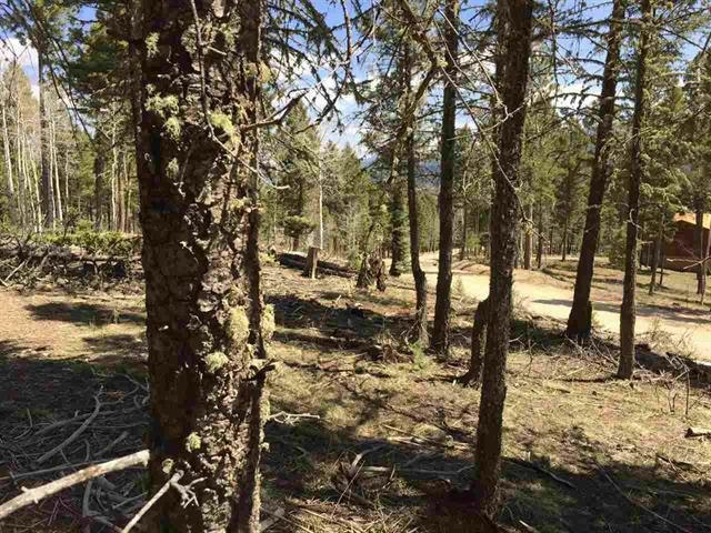 LOT 111A CALLE DE LOS INDIOS, ANGEL FIRE, NM 87710, photo 1 of 7