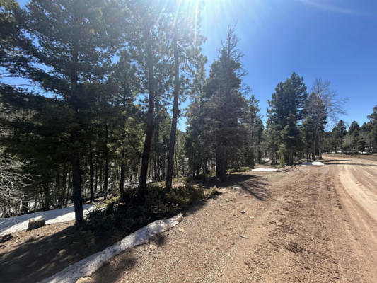 LOT 369 VAIL LOOP, ANGEL FIRE, NM 87710, photo 5 of 10