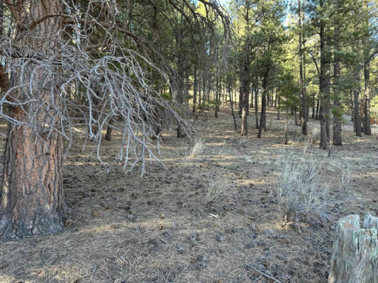 LOT 7 BLK C ALTA RD, ANGEL FIRE, NM 87710, photo 5 of 6