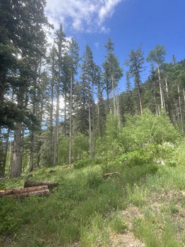 LOT 3A TWINING, TAOS SKI VALLEY, NM 87525, photo 1 of 11