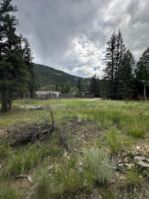 328 BITTER CREEK RD, RED RIVER, NM 87558 - Image 1