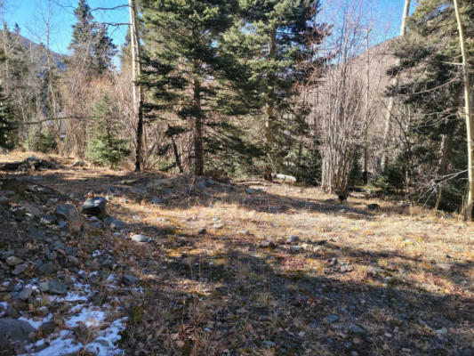 LOT 1A SNOWSHOE ROAD, TAOS SKI VALLEY, NM 87525, photo 3 of 20