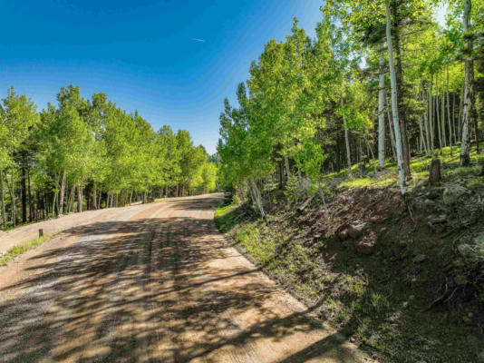 437 EL CAMINO REAL, ANGEL FIRE, NM 87710, photo 5 of 30