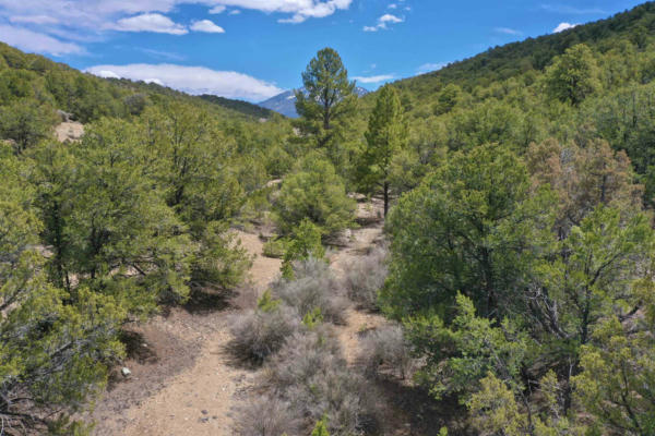 0 CANYON OF THE WOODS OFF HONDO SECO ROAD, DES MONTES, NM 87514, photo 4 of 13